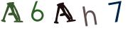 圖片的 CAPTCHA